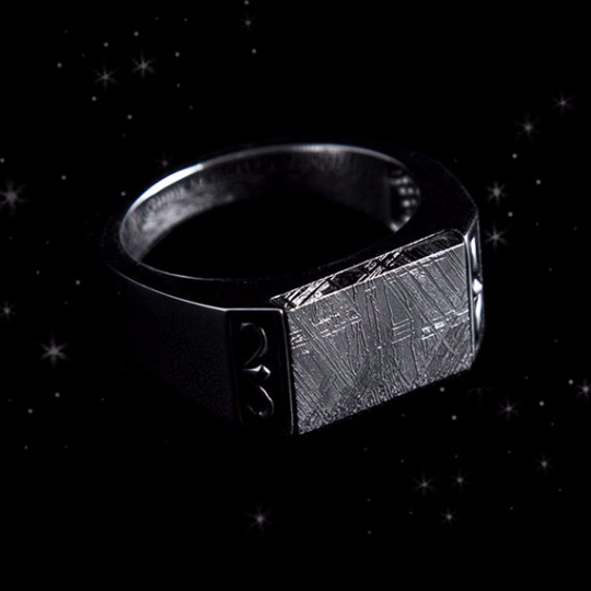 Meteorite signet store ring